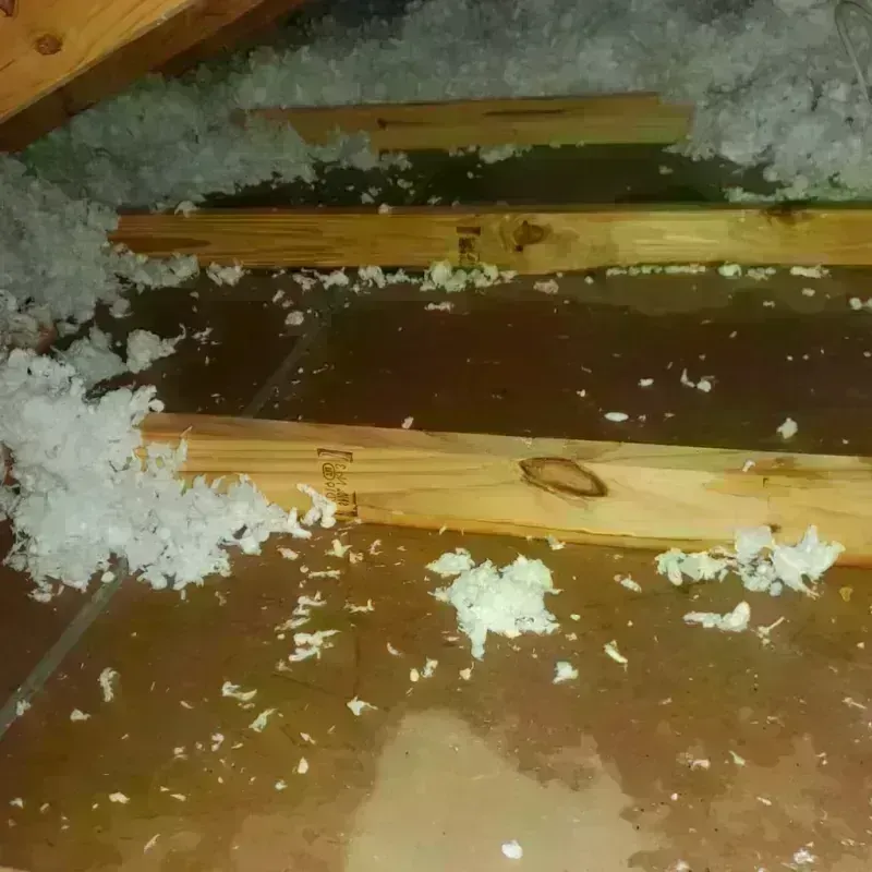 Attic Water Damage in Frankfort, MI