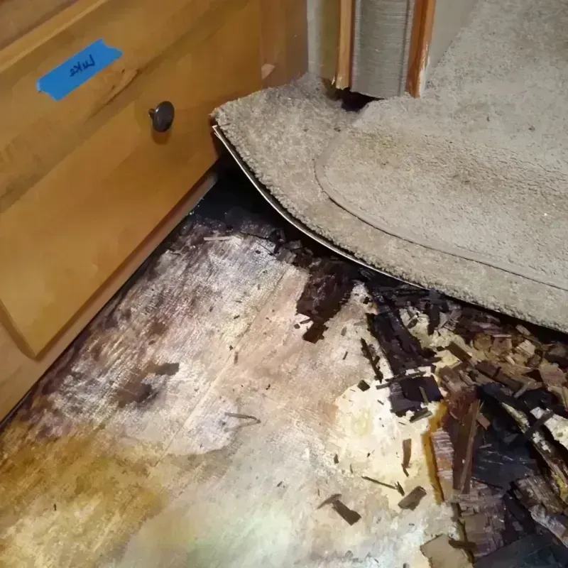 Wood Floor Water Damage in Frankfort, MI